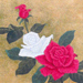 New Prints September 2023